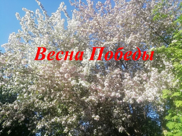 Всероссийский конкурс «Весна Победы»: украсим города к 80-летию Победы!. Всероссийский конкурс «Весна Победы»: украсим города к 80-летию Победы!.